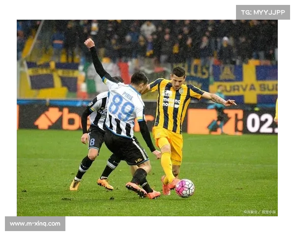 维罗纳后防主力离队对球队保级形势带来巨大压力