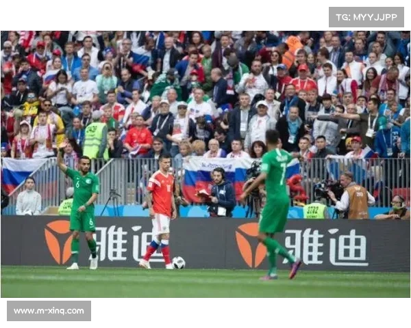 南非16年等待终结,世界杯重回“彩虹之国” 南非16年等待终结,世界杯重回“彩虹之国”